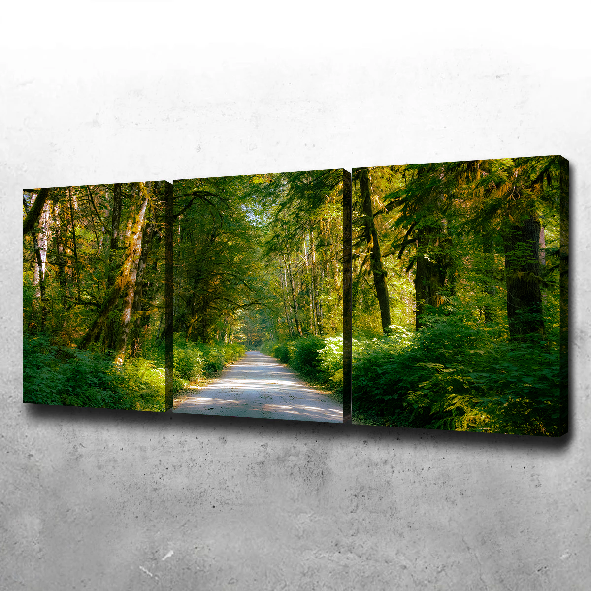 Exquisite Rainforest Road Wall Art by Kyle Sherry