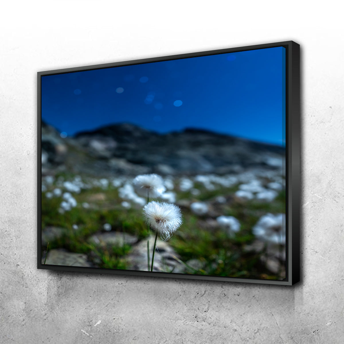 Exquisite Star Studded Linaigrette Wall Art by Jeff Graphy