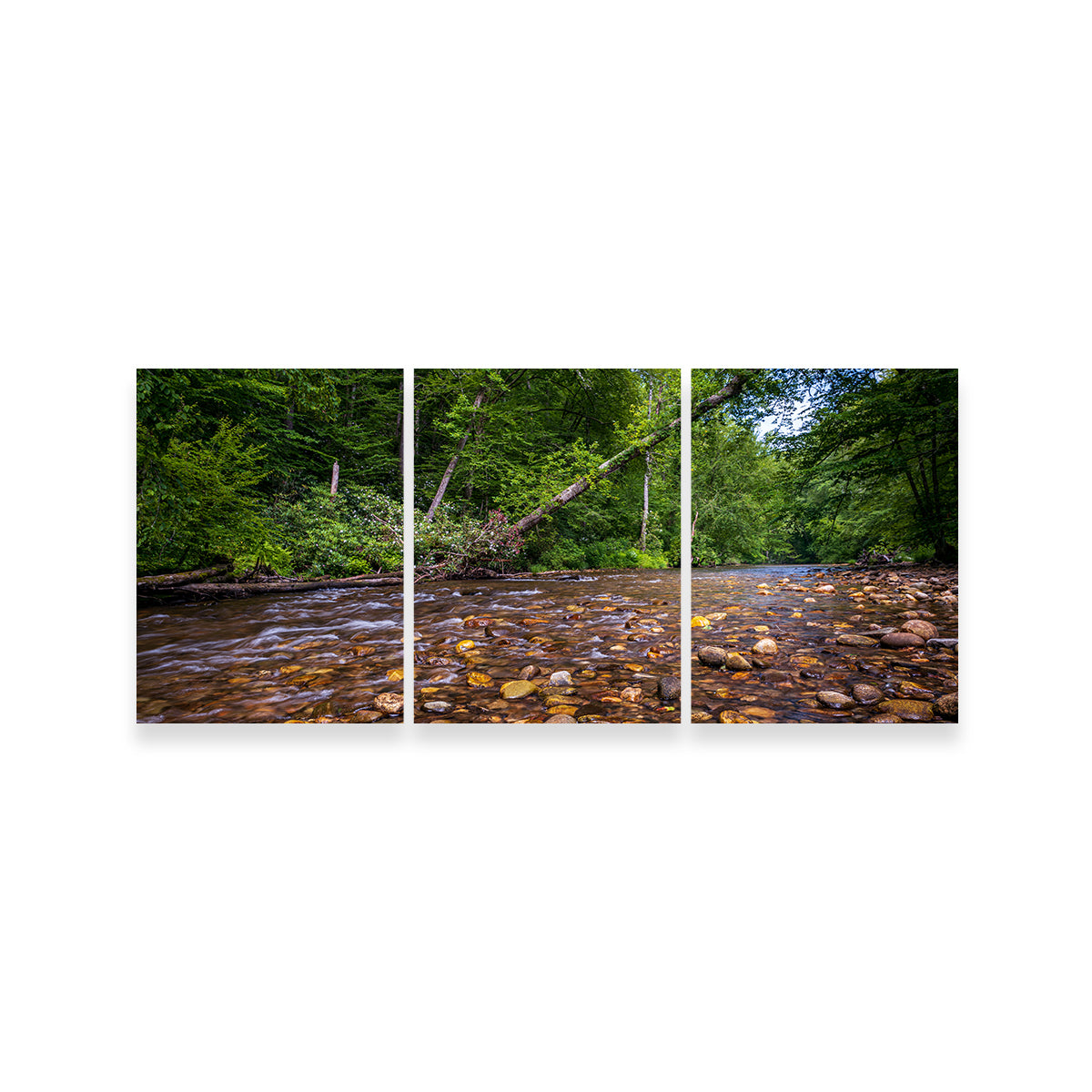 Stunning Blue Ridge Pky NC Wall Art by Barry Pack