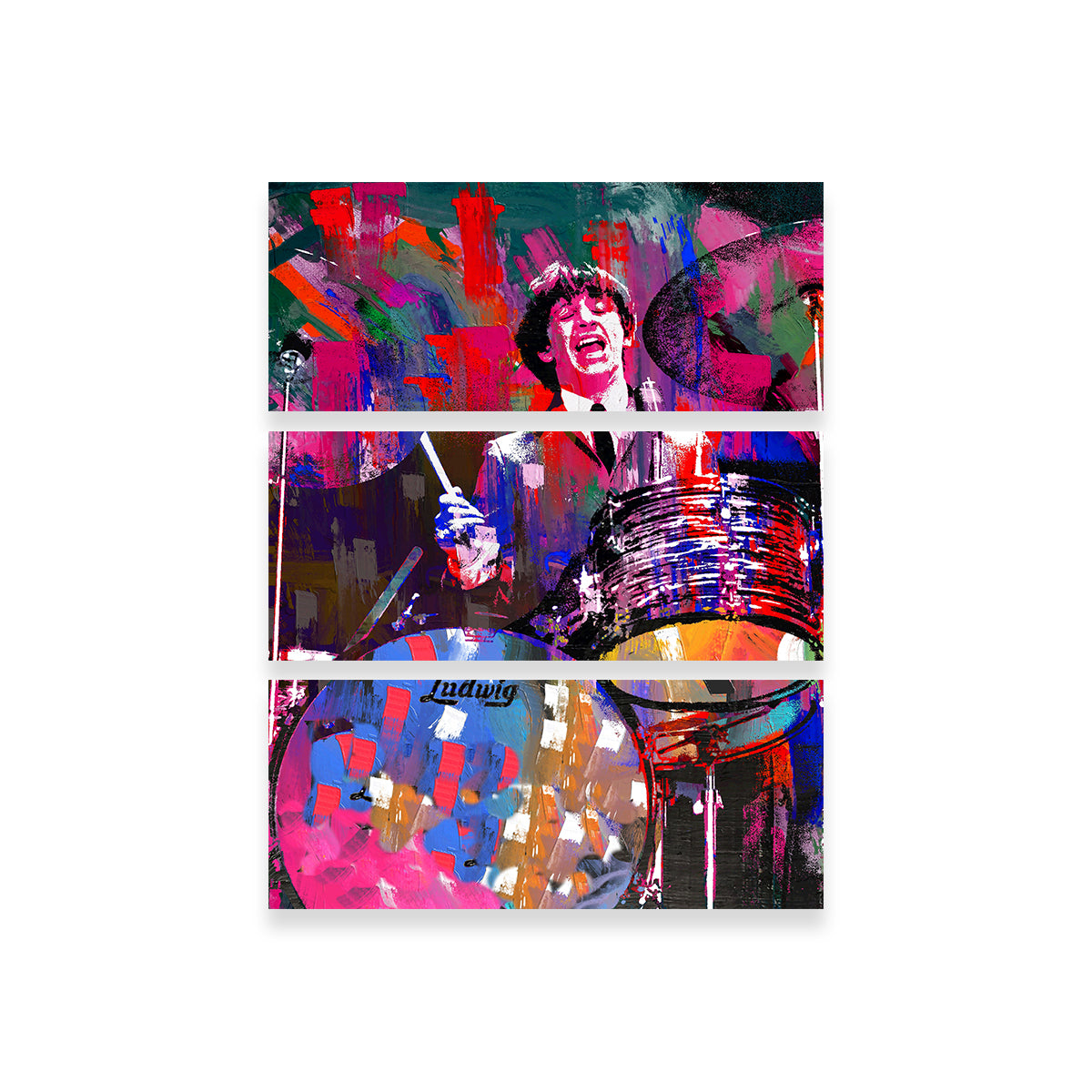 Stunning Ringo Wall Art by Stephen Chambers