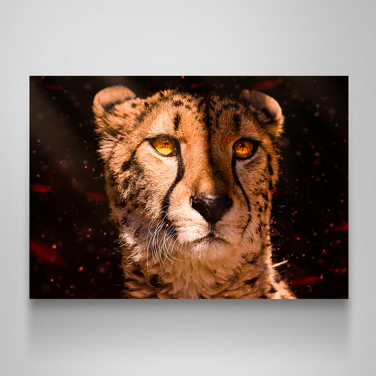 Stunning Cheetah Wall Art by Manuel Luces