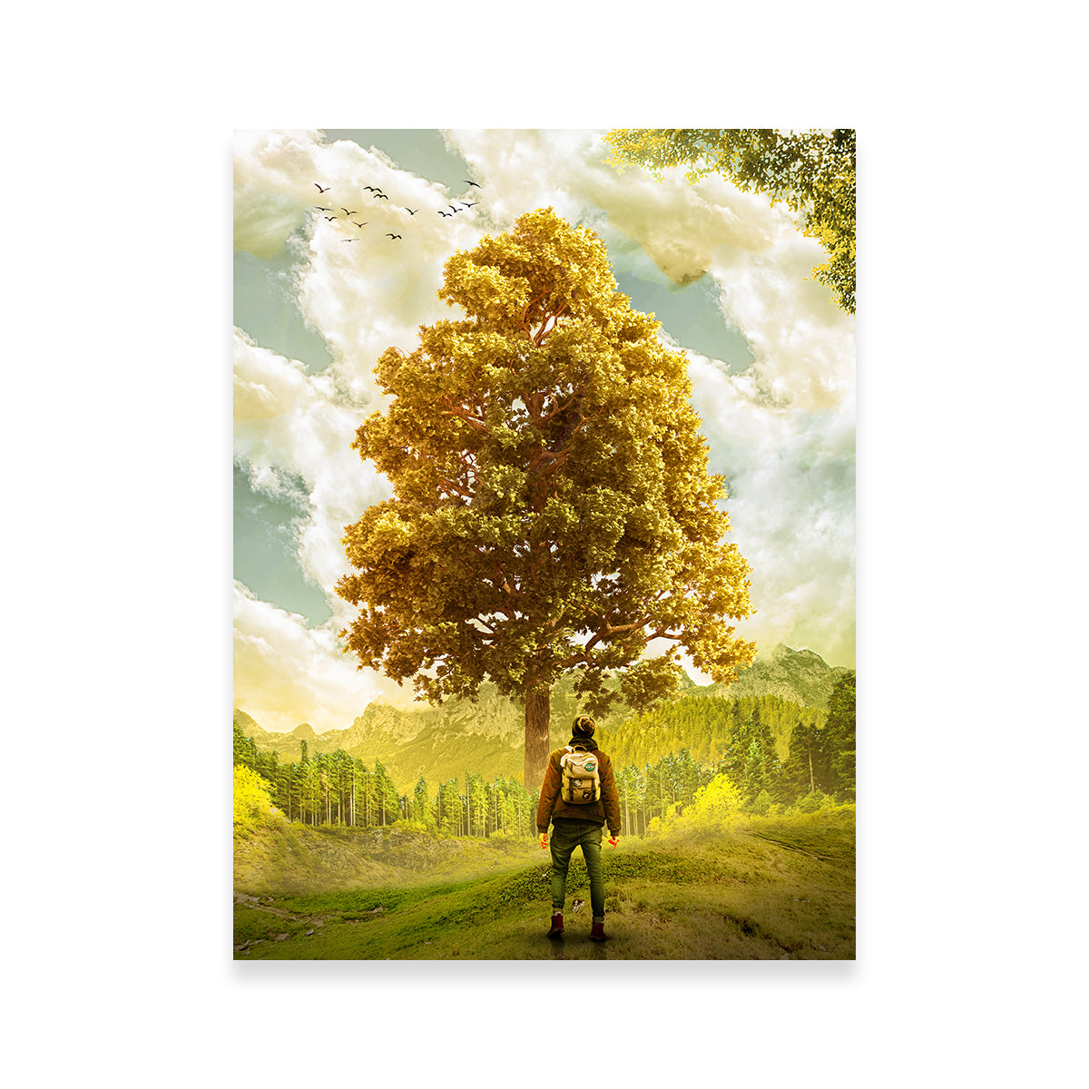 Stunning Elder Man Wall Art by INDOARC