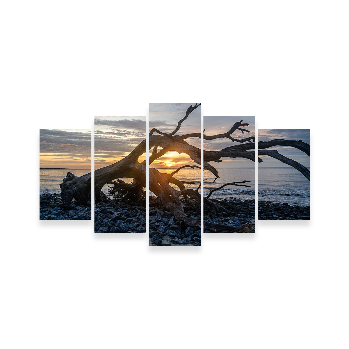 Exquisite Jekyll Island, Georgia Wall Art by Barry Pack