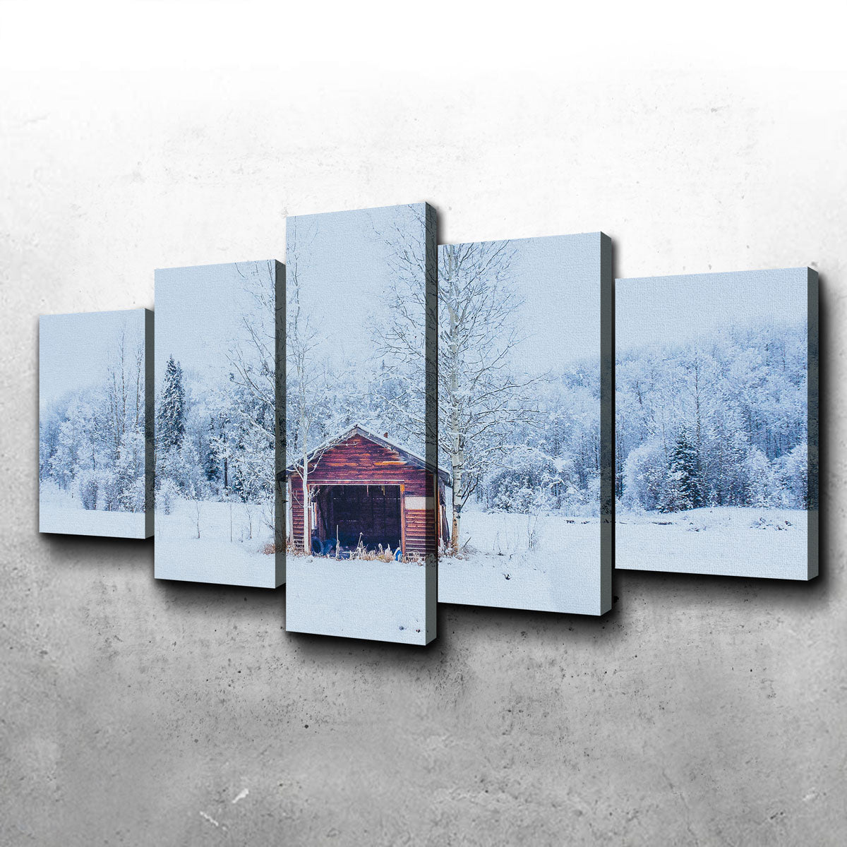 Unique Abandoned Shed Wall Art by Mike Cotton