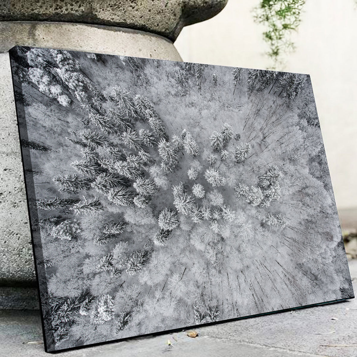 Exquisite Forest Snow Wall Art by Karolis Janulis