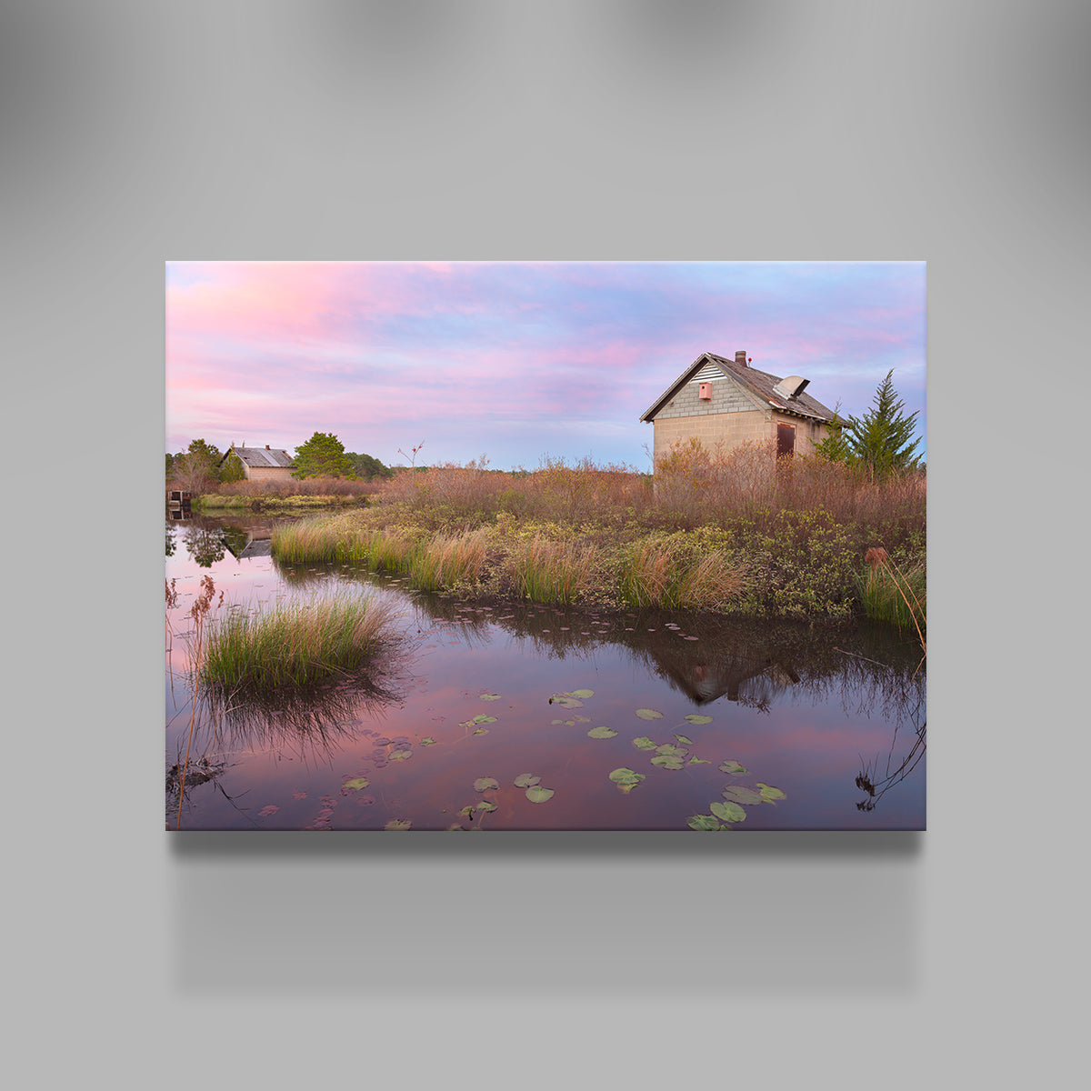 Beautiful Spring in the Bogs Wall Art by Shaun Mayer