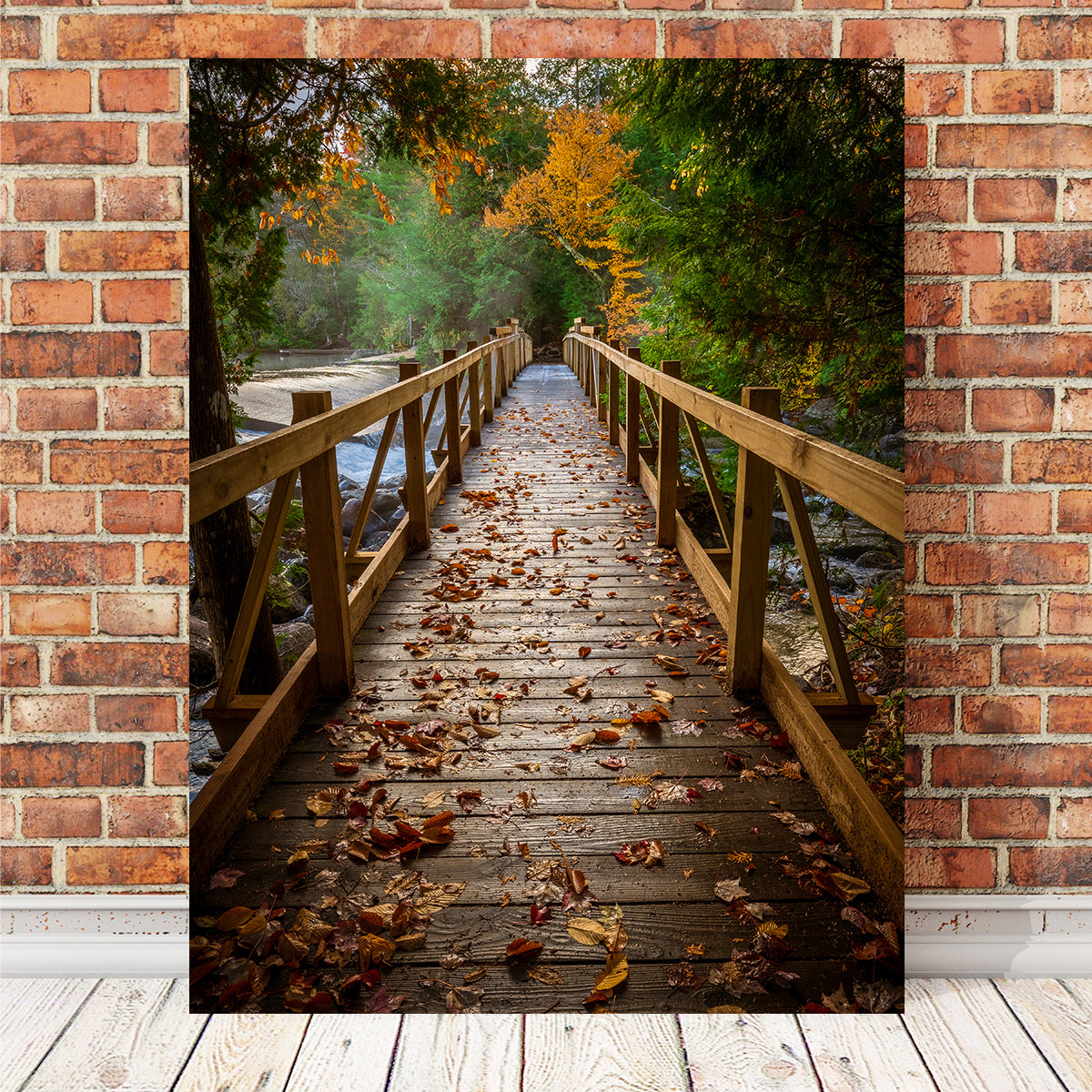 Breathtaking A Walk in the Woods Wall Art by Dennis Maida