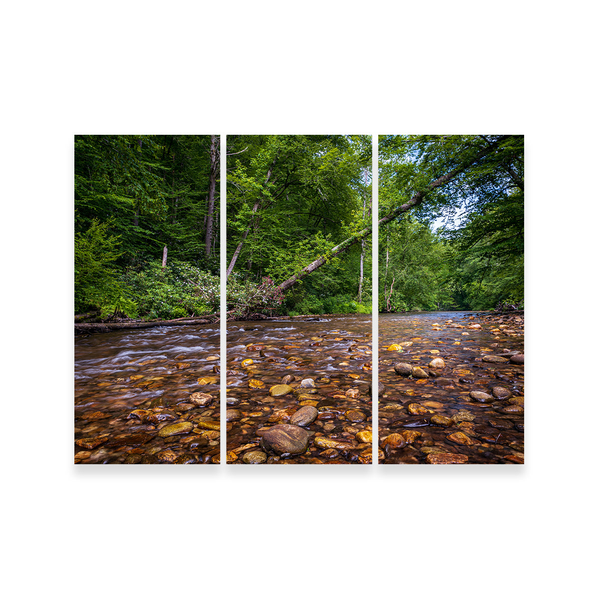 Stunning Blue Ridge Pky NC Wall Art by Barry Pack