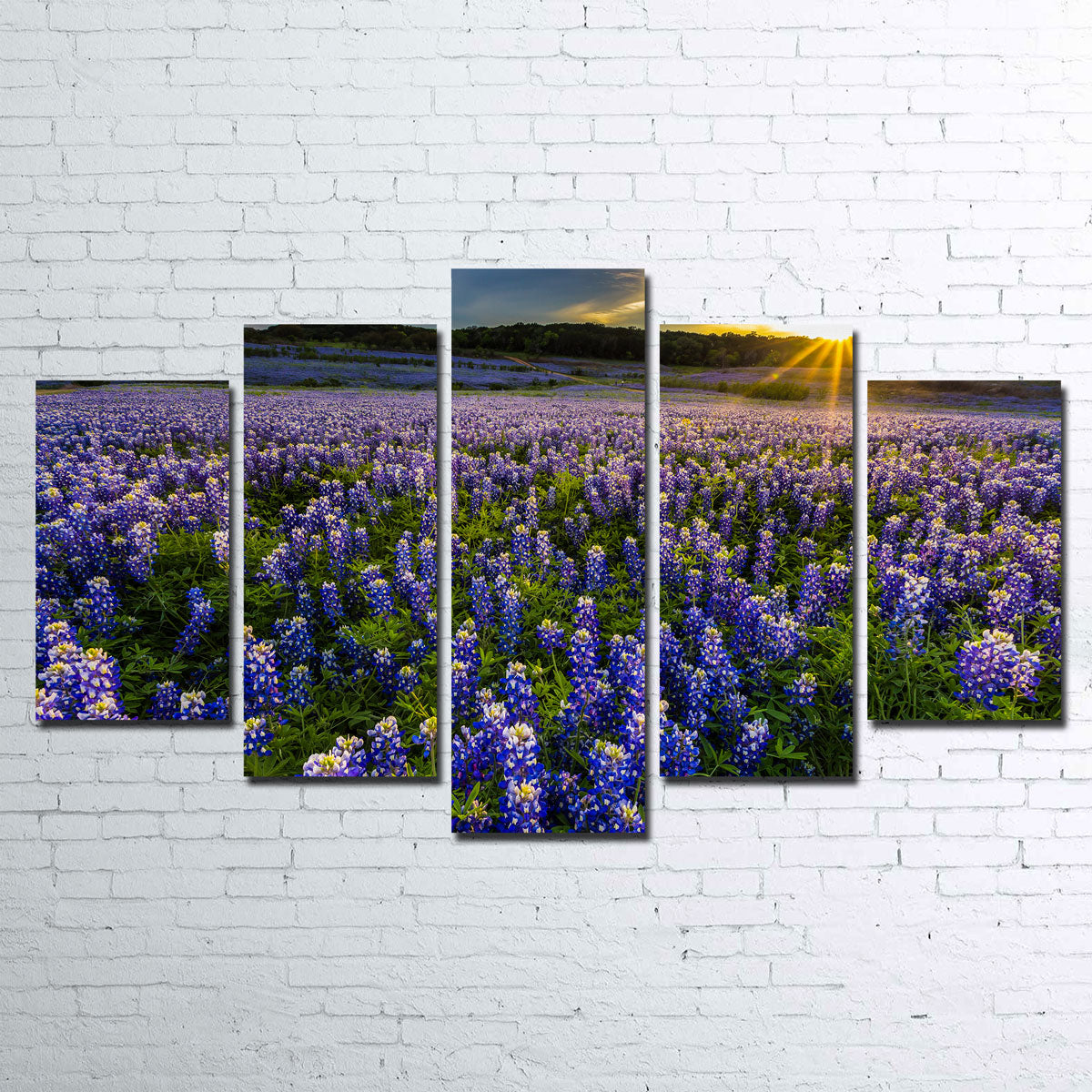 Gorgeous Texas Bluebonnet Field at Muleshoe Bend Wall Art for Home Decor