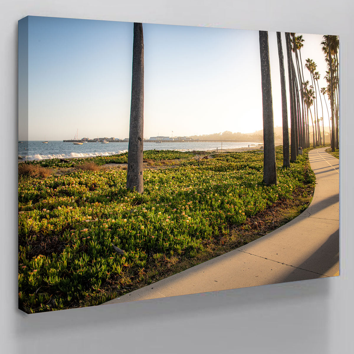 Stunning Santa Barbara Bike Path Wall Art by Kyle Sherry