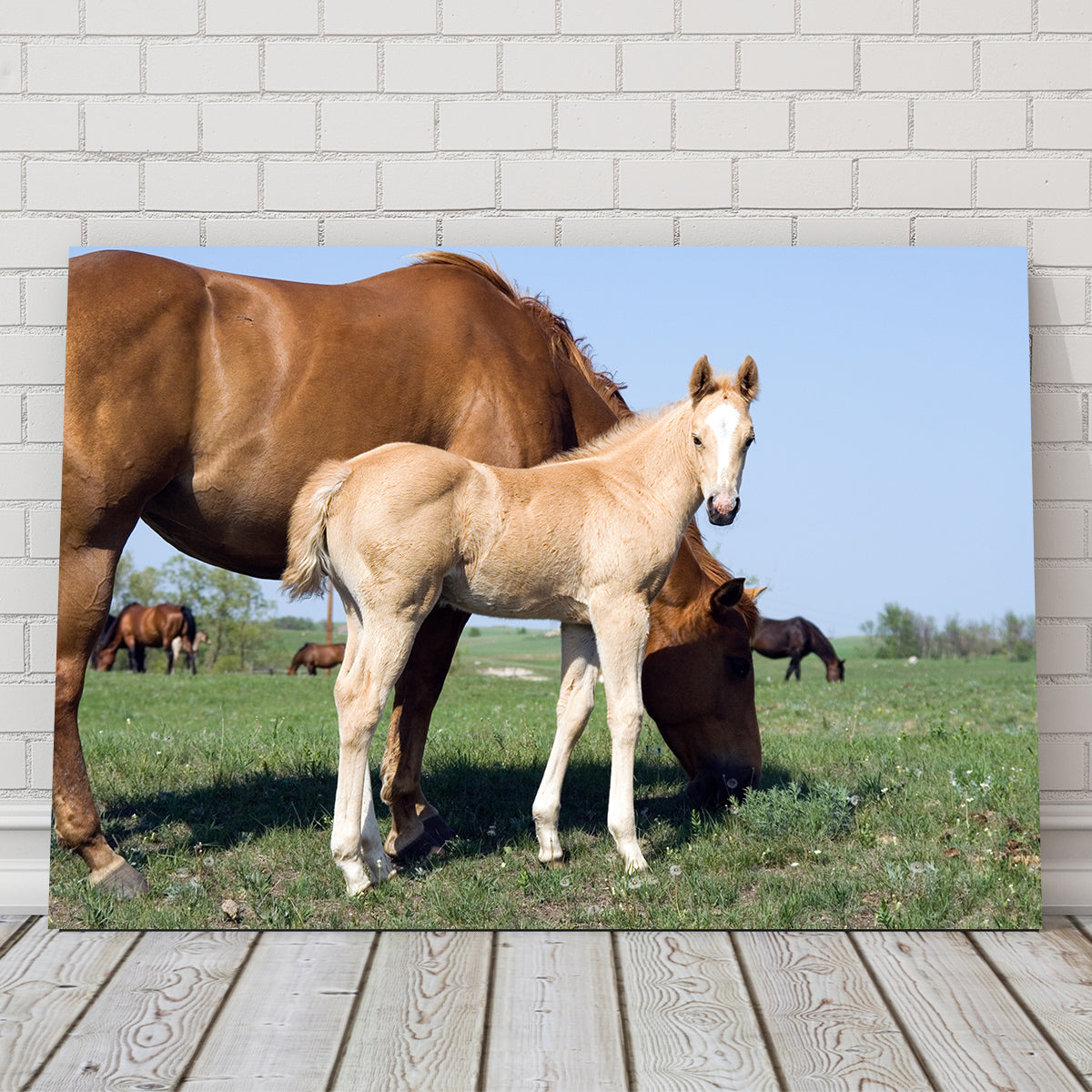 Exquisite Palomino Quarter Horse Foal and Mare Wall Art for Your Home Decor