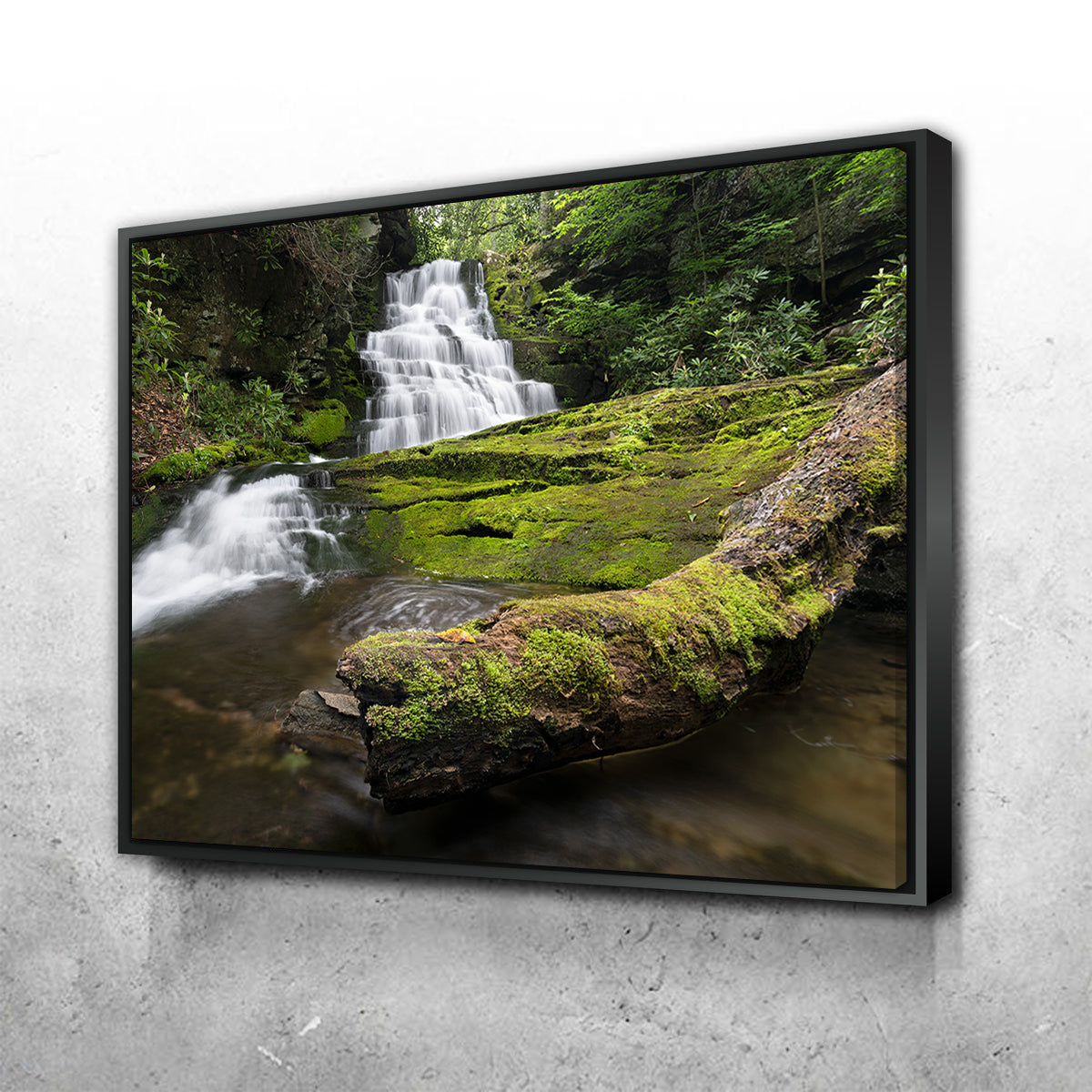 Stunning Rattlesnake Falls Wall Art by Shaun Mayer
