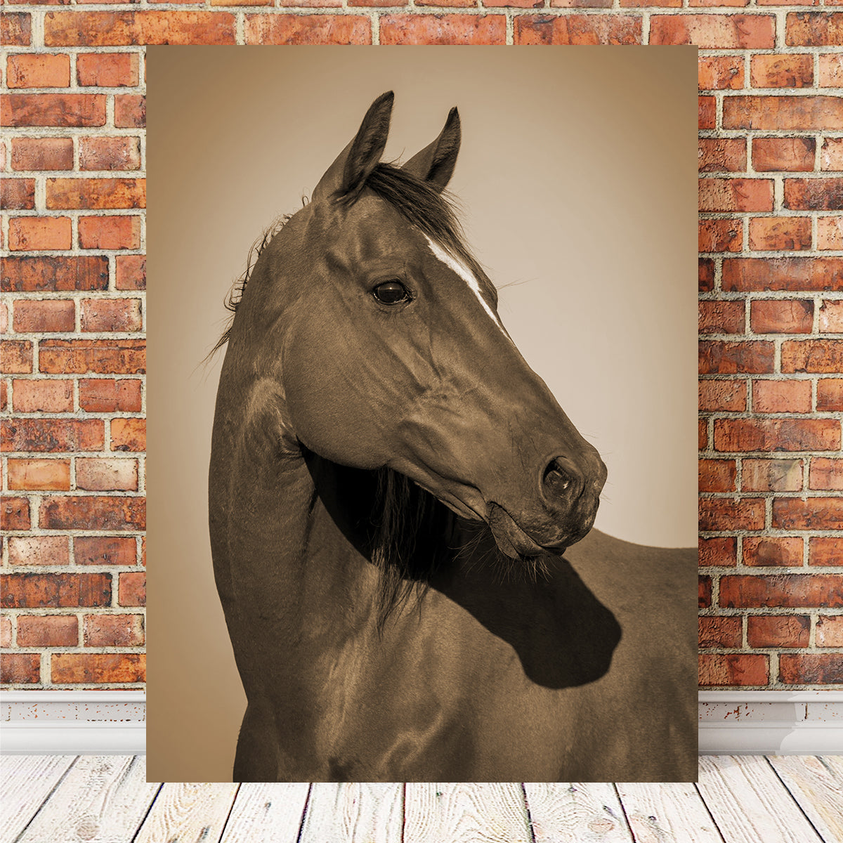 Stunning Quarter Horse Wall Art for Your Home Decor
