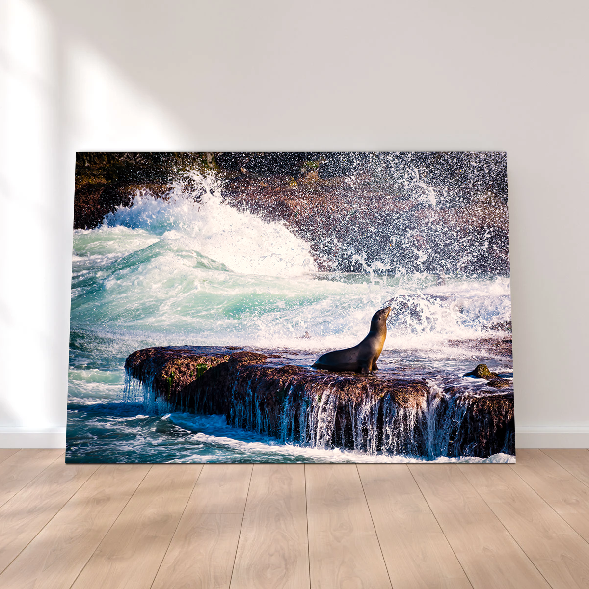 Stunning Sea Lion Surf La Jolla Wall Art for Coastal Home Decor
