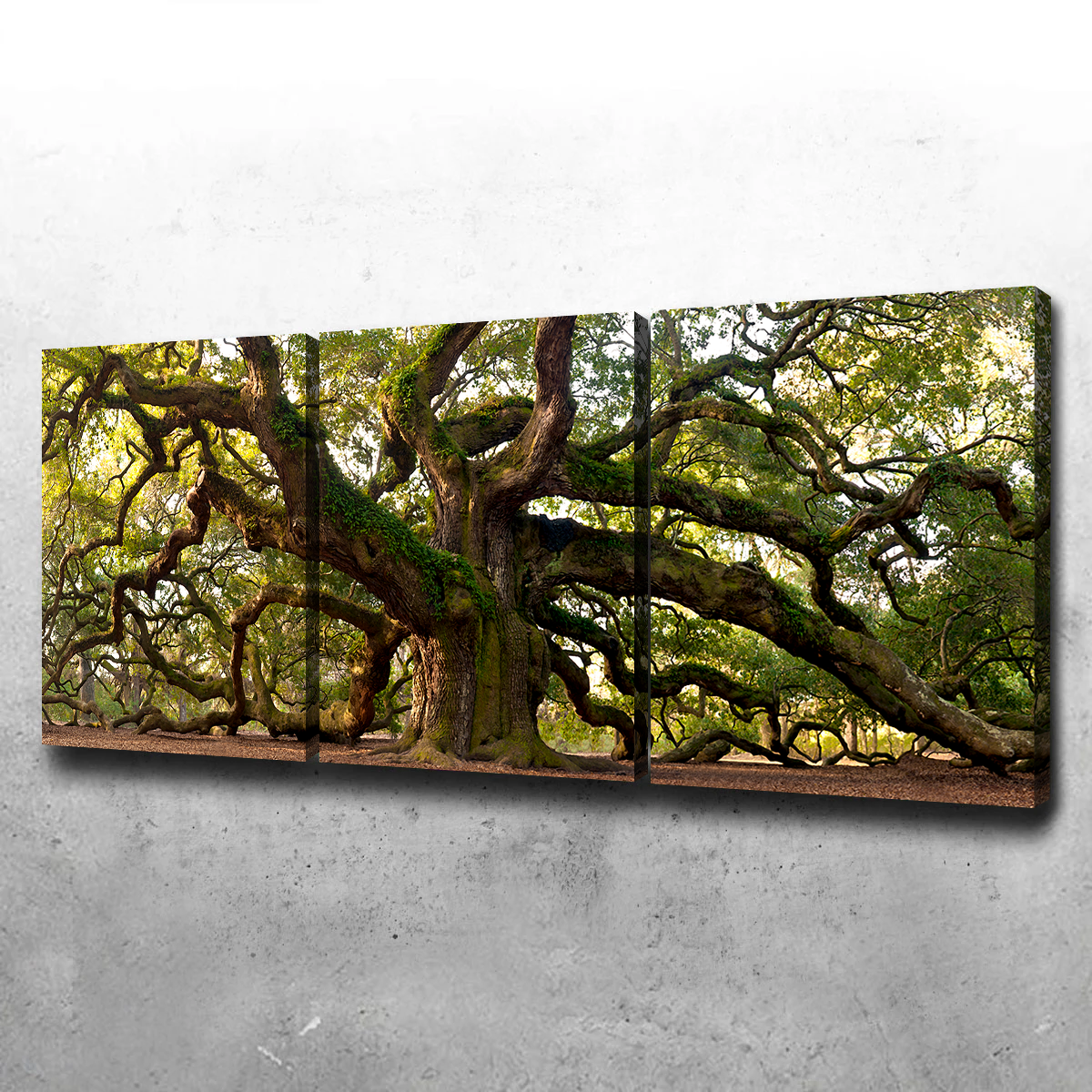 Exquisite Charleston Angel Oak Wall Art for Stunning Home Decor