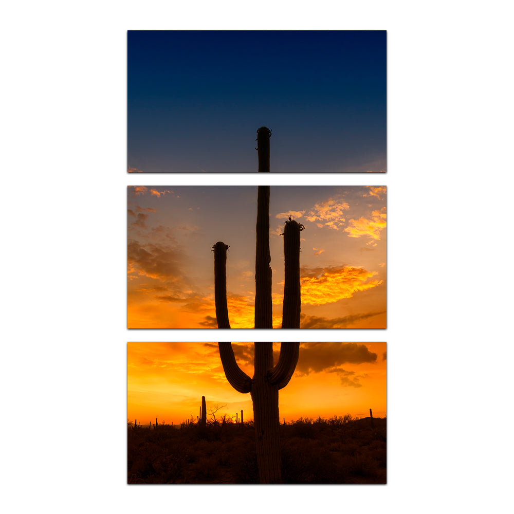 Breathtaking Saguaro National Park Sunset Wall Art by Melanie Viola