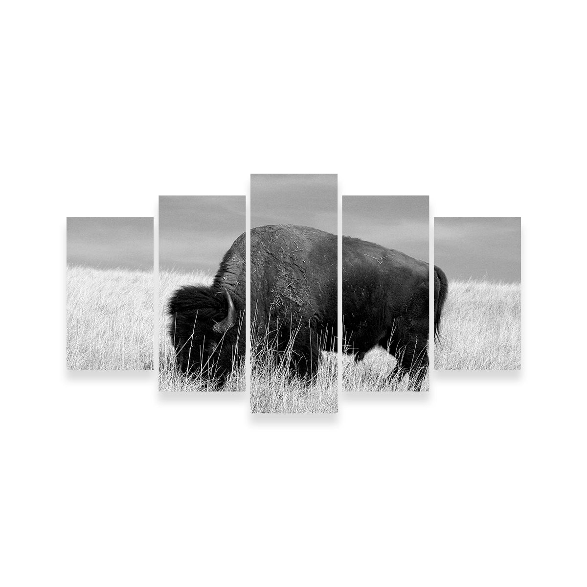 Lone Buffalo Grayscale Wall Art - Stunning Sustainable Decor