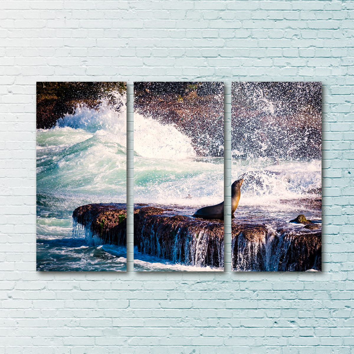 Stunning Sea Lion Surf La Jolla Wall Art for Coastal Home Decor