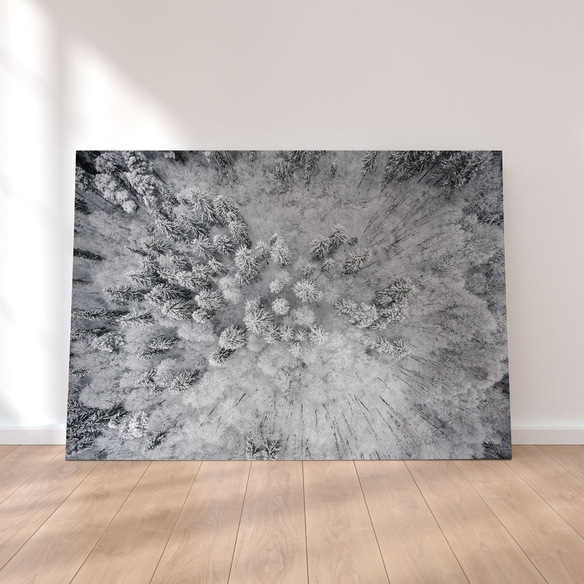 Exquisite Forest Snow Wall Art by Karolis Janulis