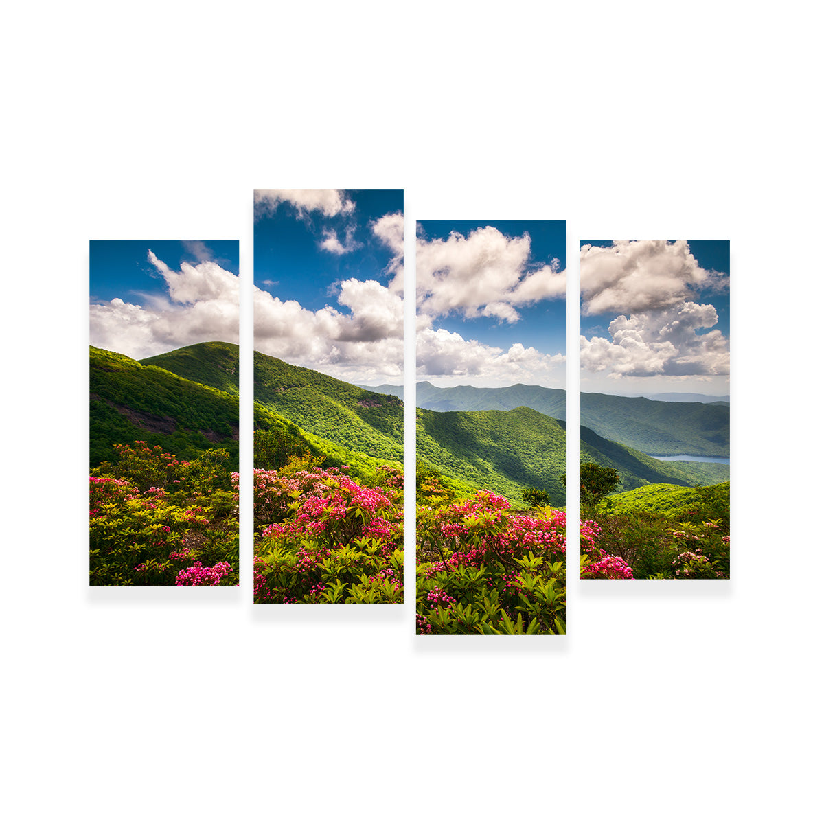 Stunning Blue Ridge Parkway Wall Art for Your Home Decor
