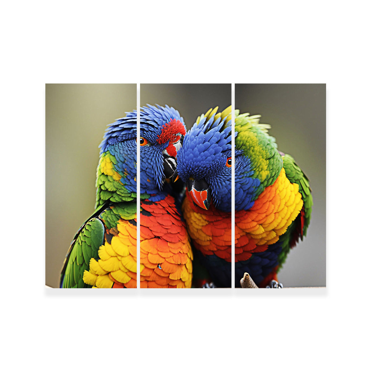Stunning Lorikeet Birds Wall Art for Your Home Decor