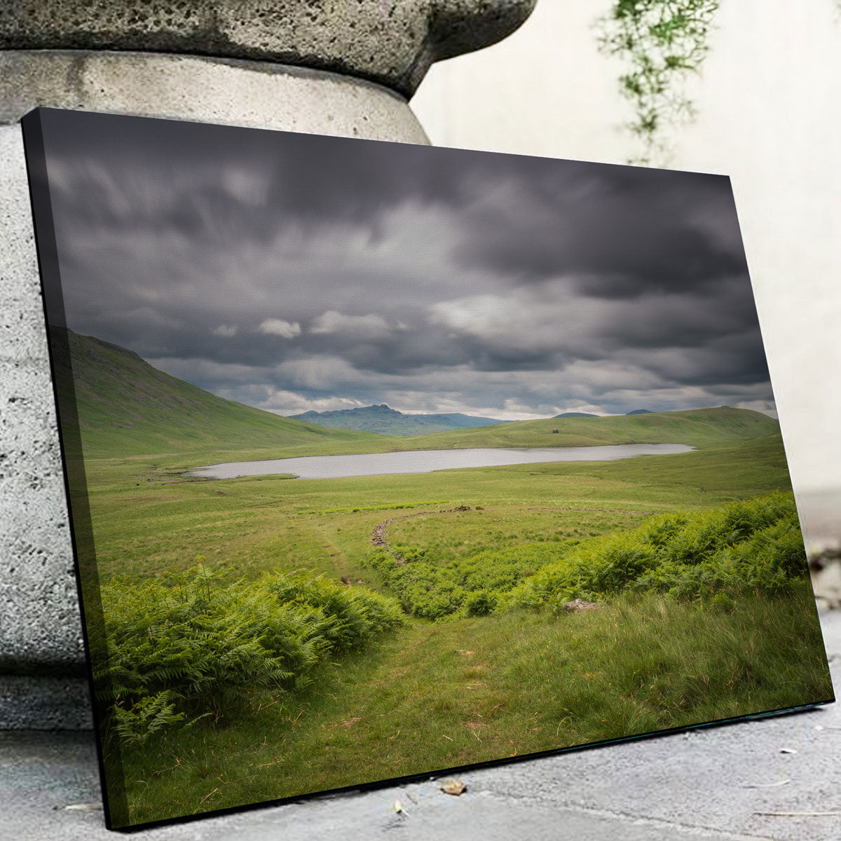Stunning Lonely Pond Wall Art by Mike Cotton