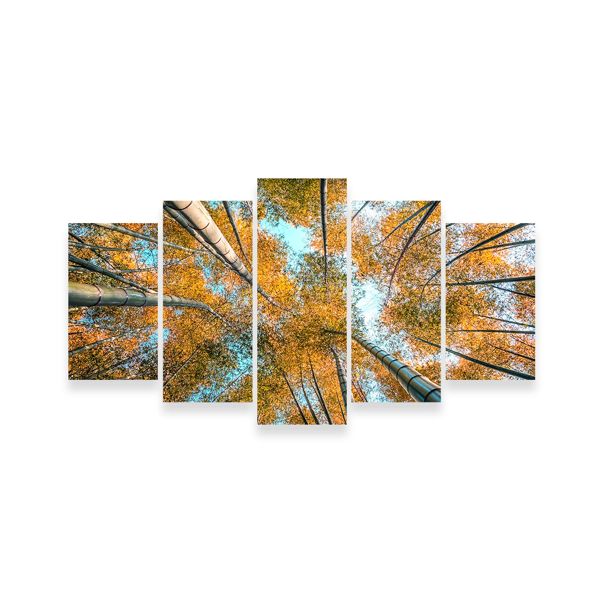 Stunning Into The Grove Wall Art for Your Home Decor