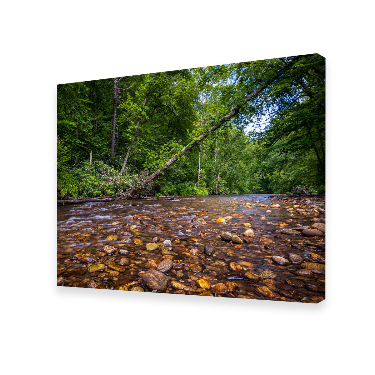 Stunning Blue Ridge Pky NC Wall Art by Barry Pack