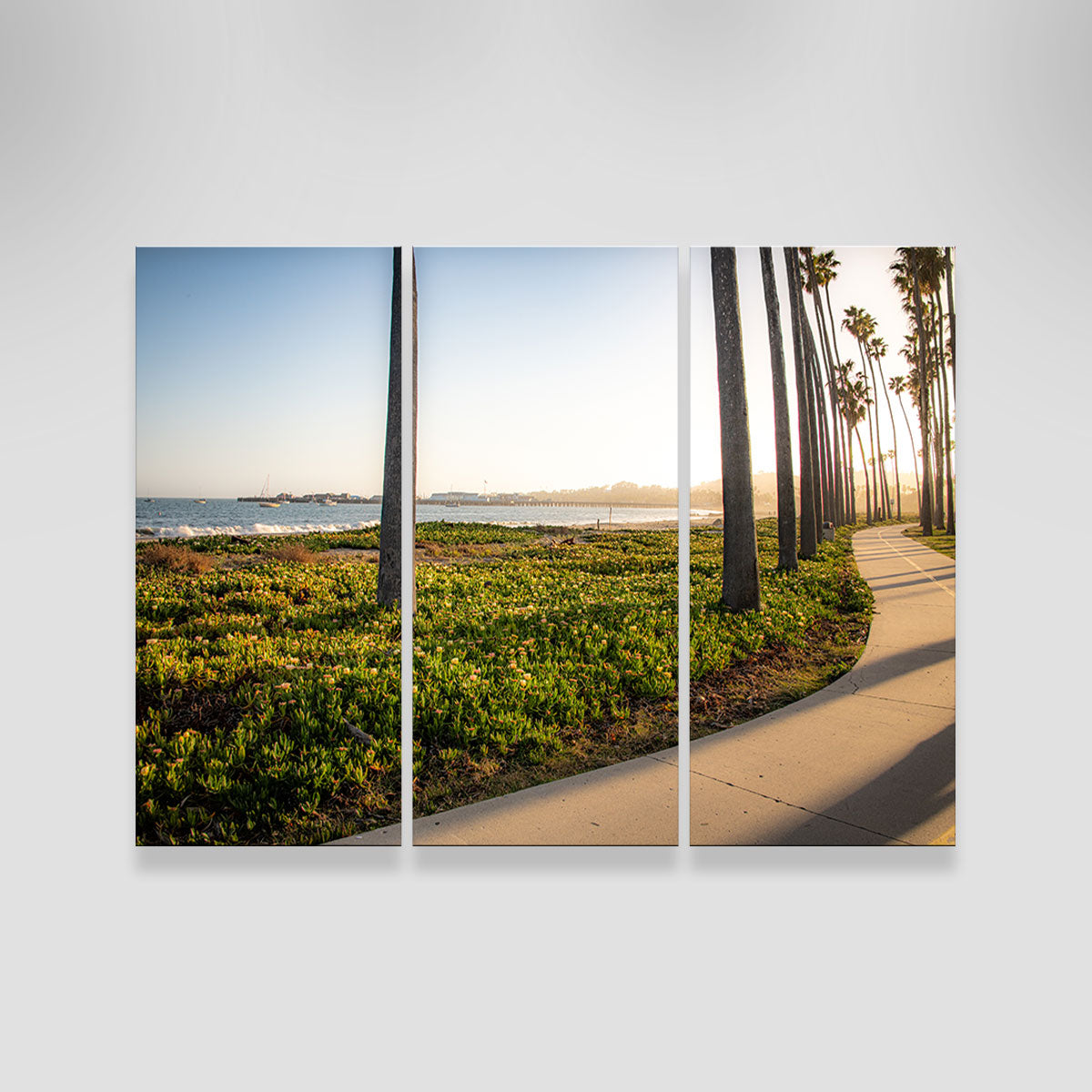 Stunning Santa Barbara Bike Path Wall Art by Kyle Sherry