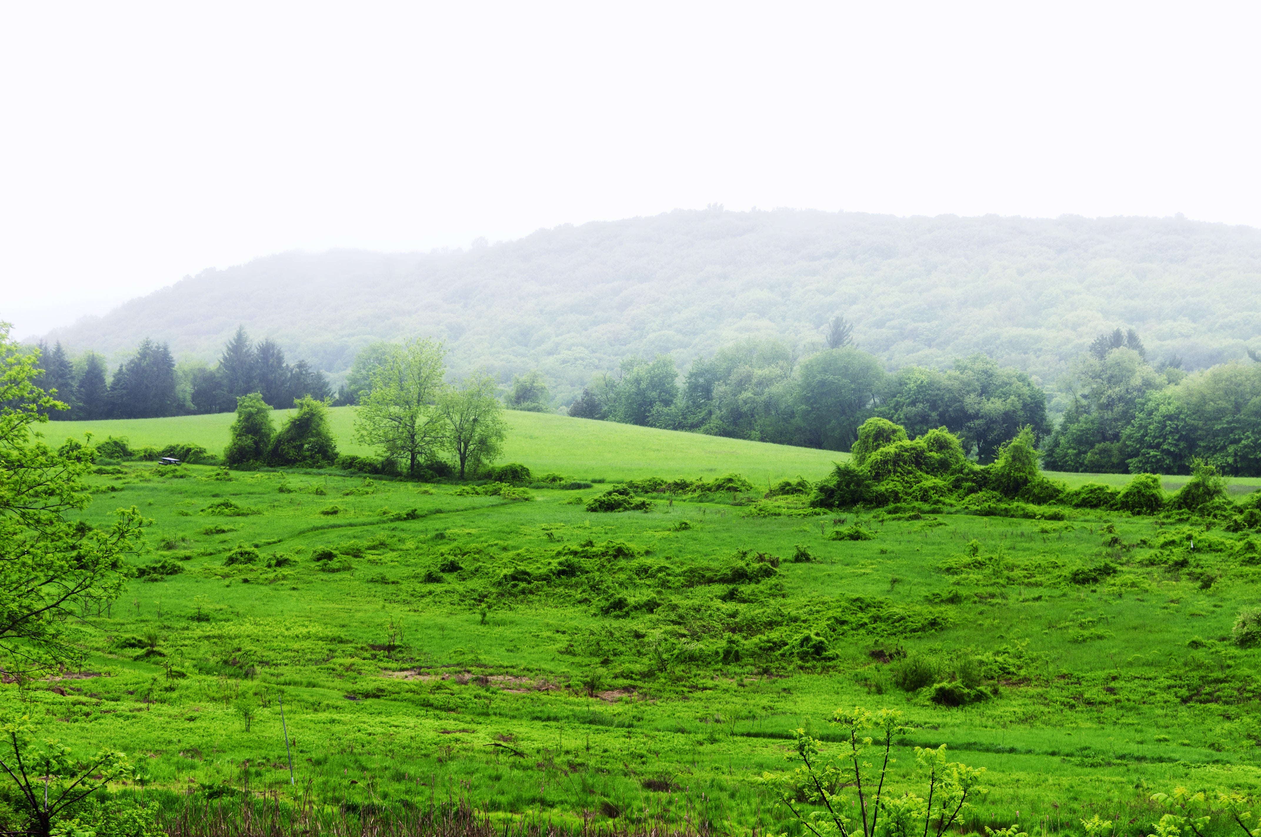 Tarrywile Park Stunning Wall Art for Your Home