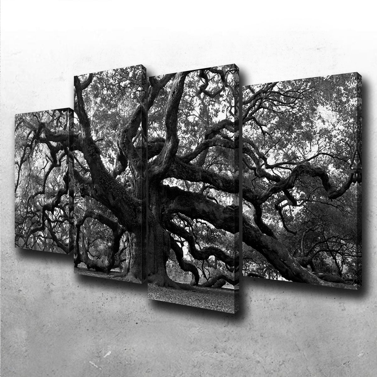 Stunning Charleston Angel Oak V2 Wall Art for Home Decor
