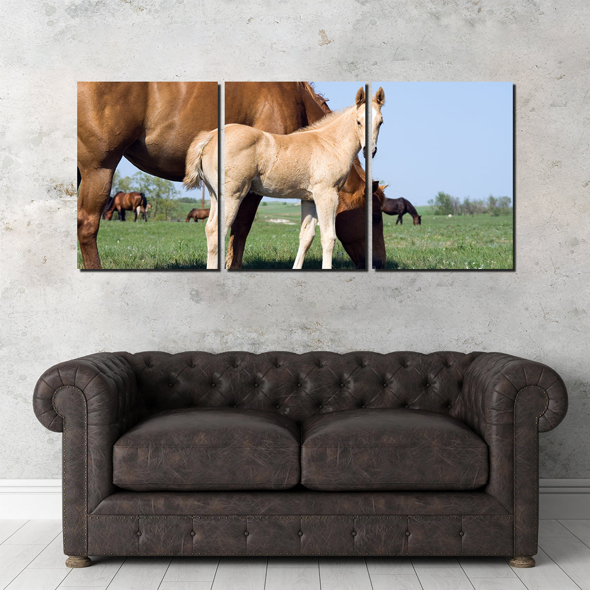 Exquisite Palomino Quarter Horse Foal and Mare Wall Art for Your Home Decor