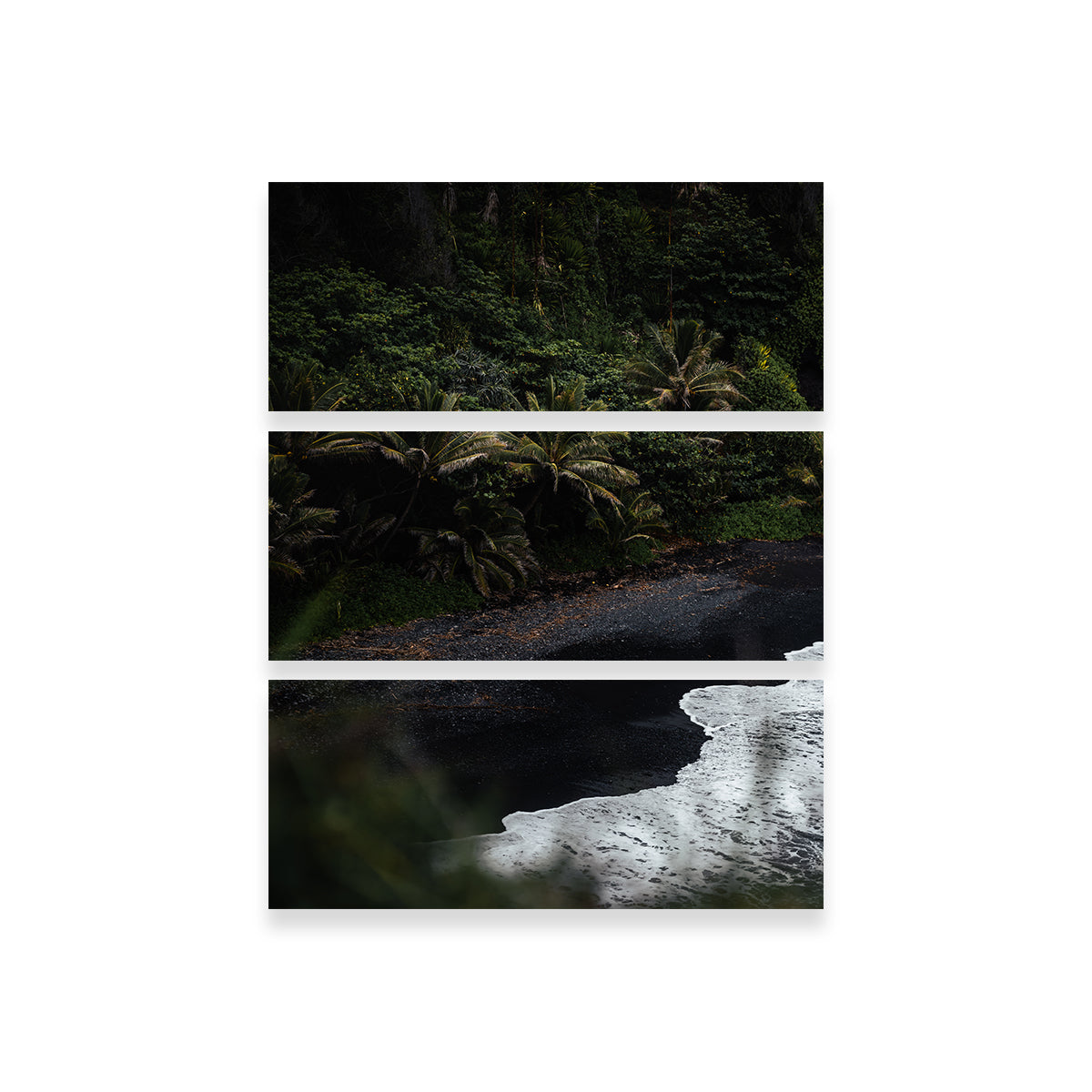 Exquisite Black Sand Palms Wall Art by Lucas Moore