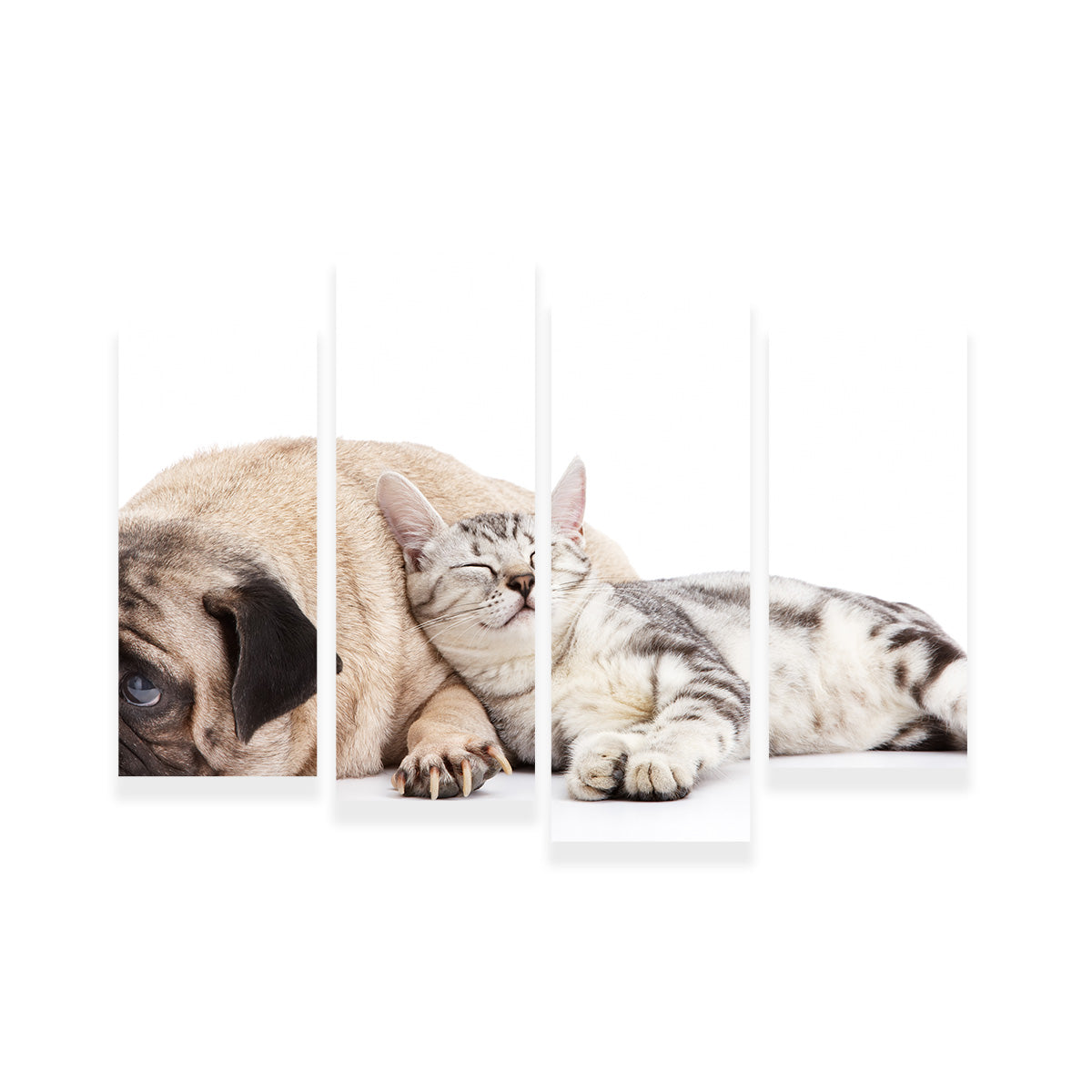 Adorable Pug and Cat Wall Art for Home Decor