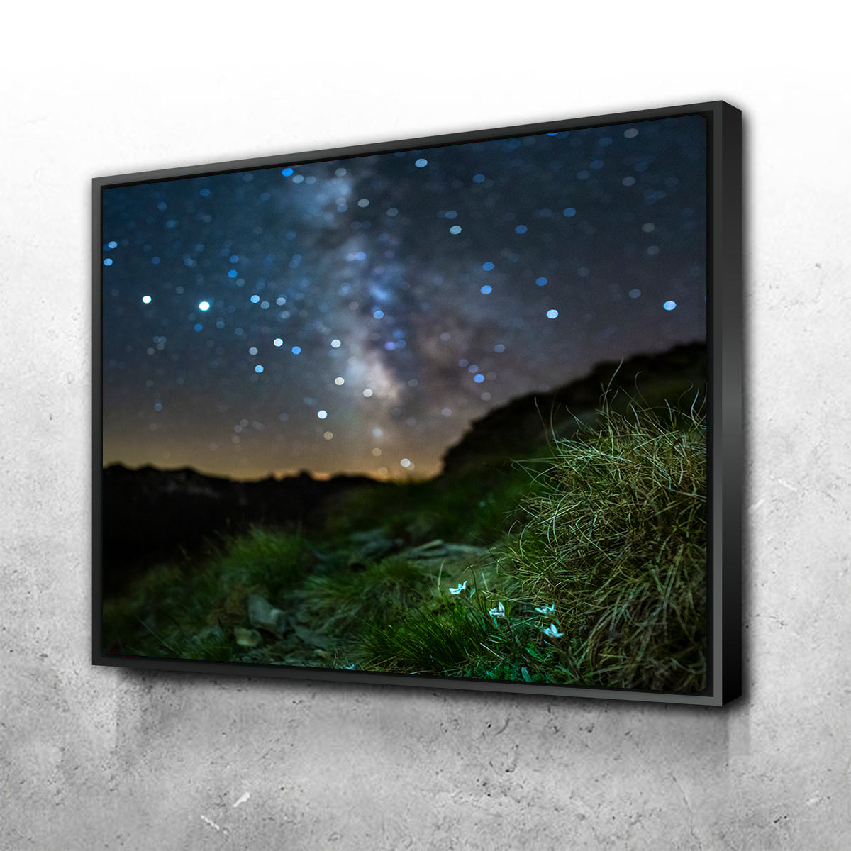 Gorgeous Star Studded Edelweiss Wall Art by Jeff Graphy