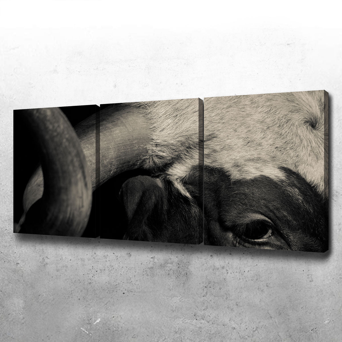 Stunning Texas Longhorn Cow Wall Art for Your Home Decor