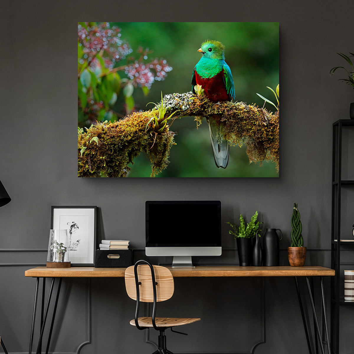 Stunning Resplendent Quetzal Wall Art for a Captivating Home Decor