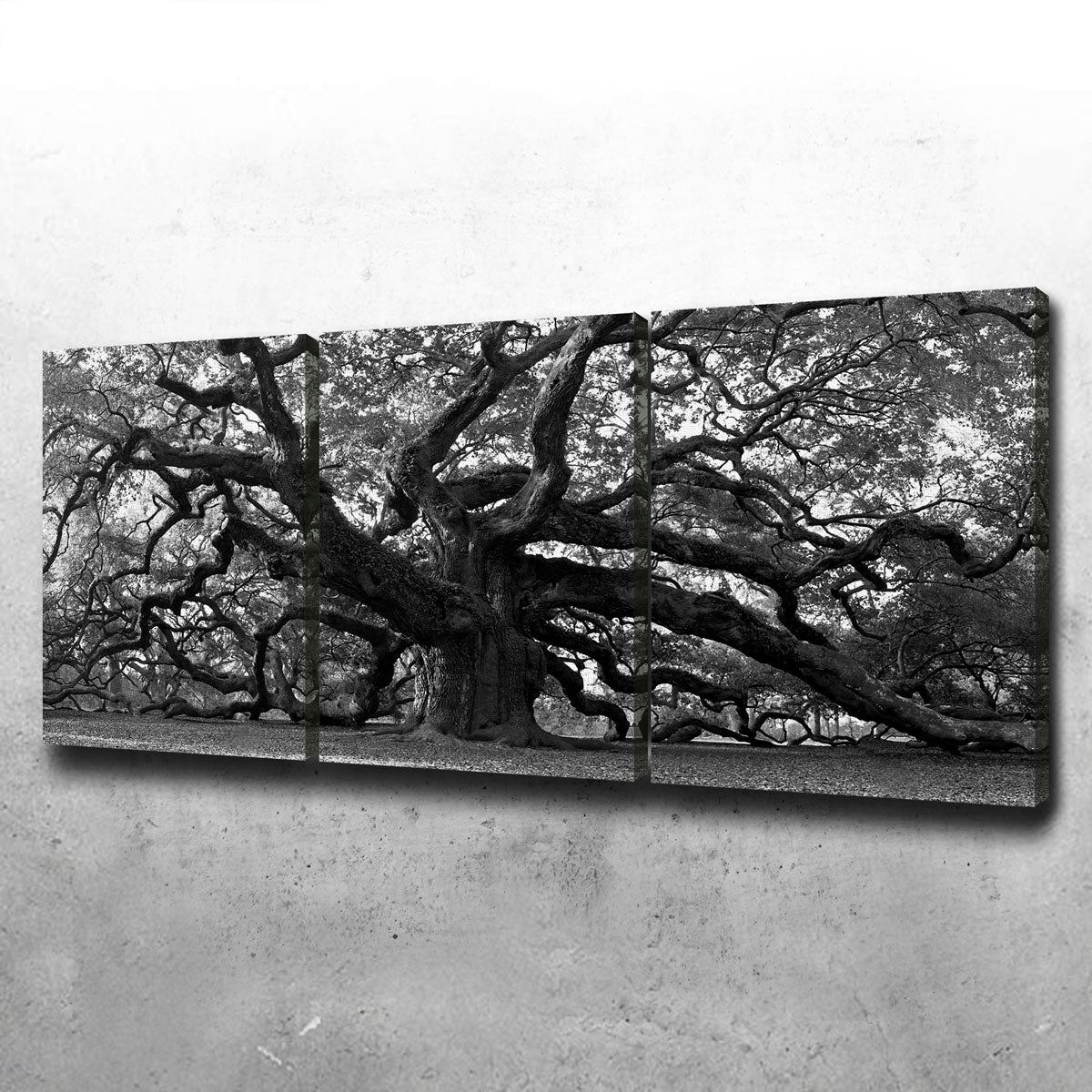 Stunning Charleston Angel Oak V2 Wall Art for Home Decor