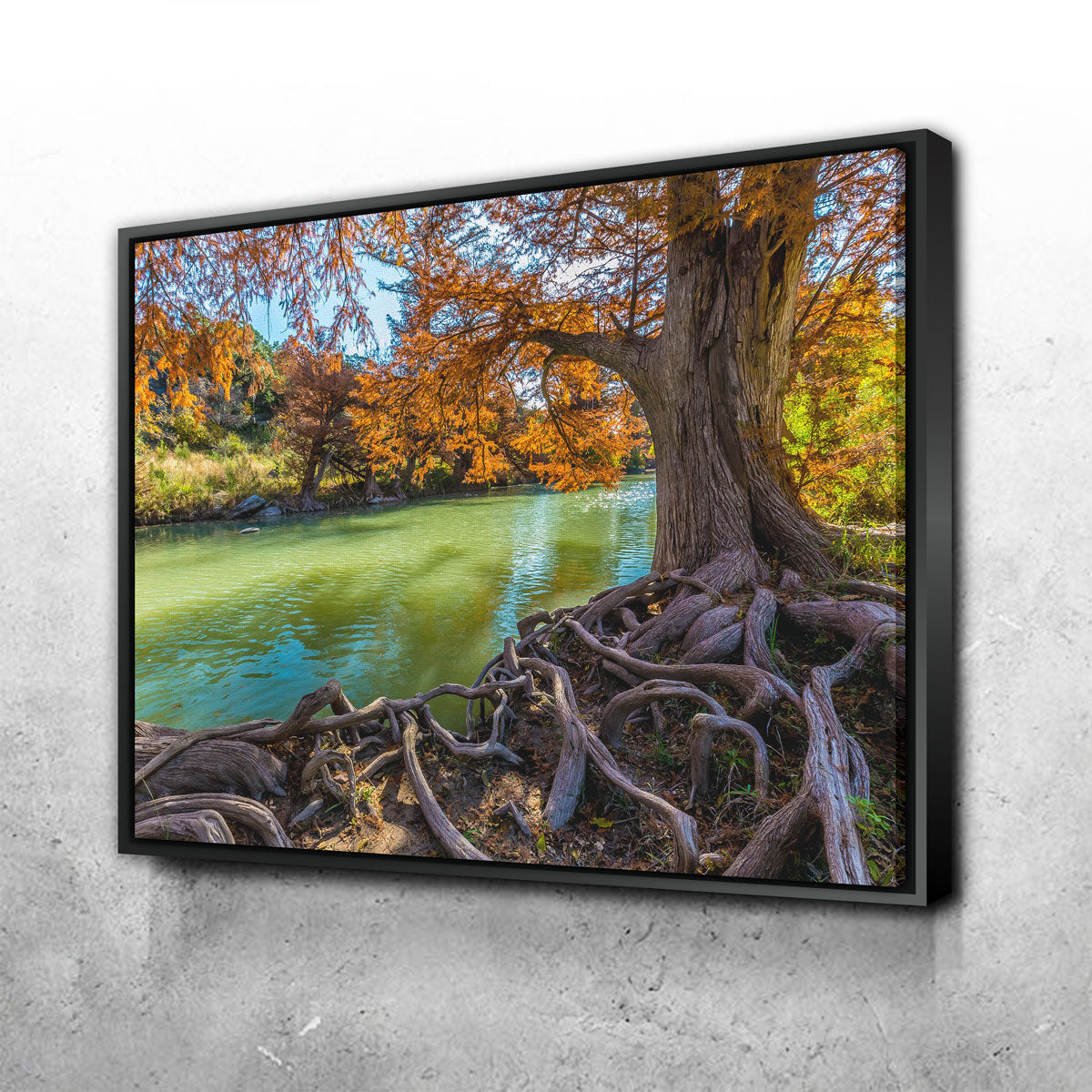 Stunning Guadalupe State Park Wall Art - Museum Quality Canvas