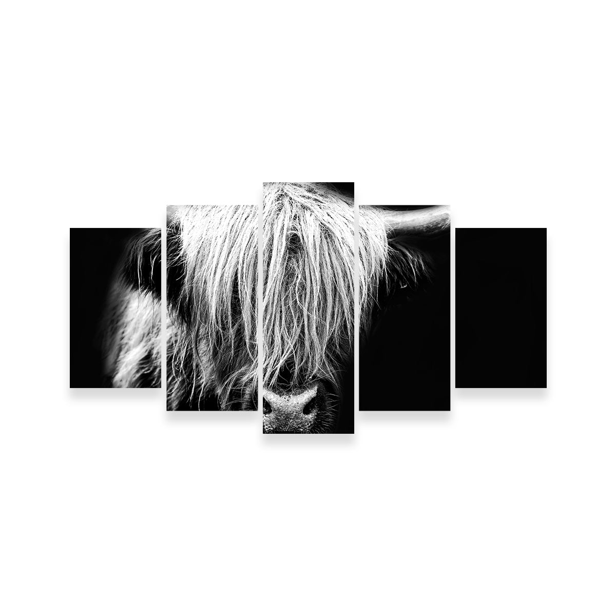 Stunning Grayscale Highland Cow Wall Art for Your Home Decor
