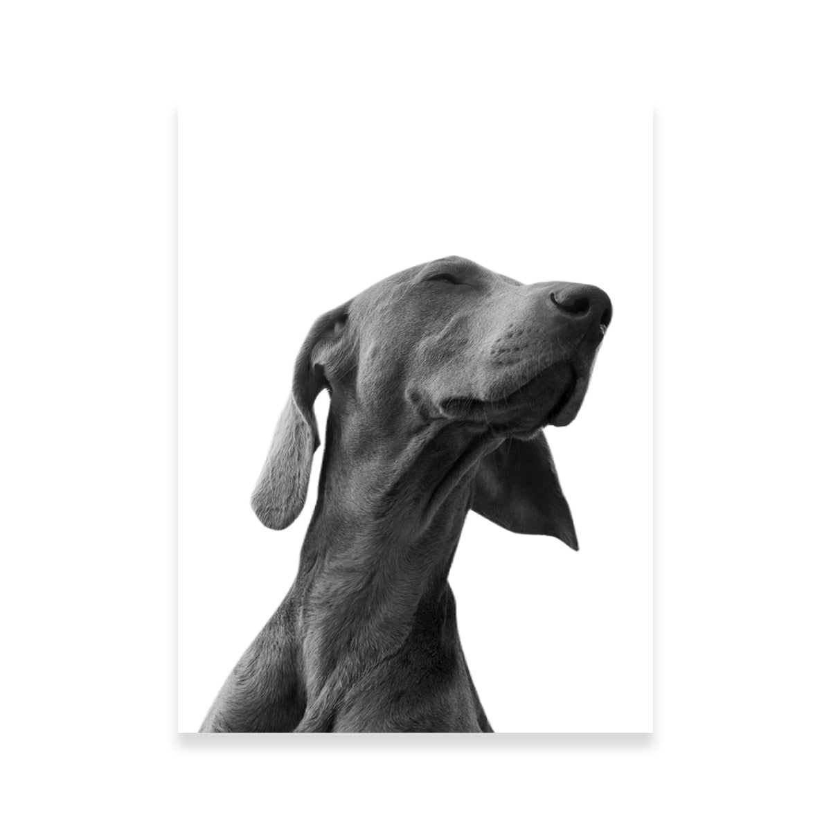 Stunning Black Dog Wall Art by Lawisi