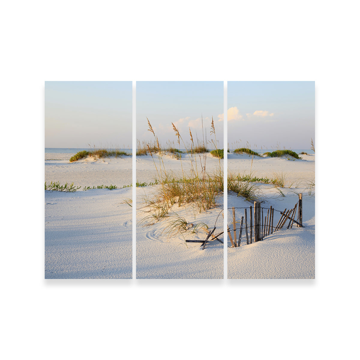 Stunning Sand Dunes and Sea Oats Wall Art for Your Home Decor