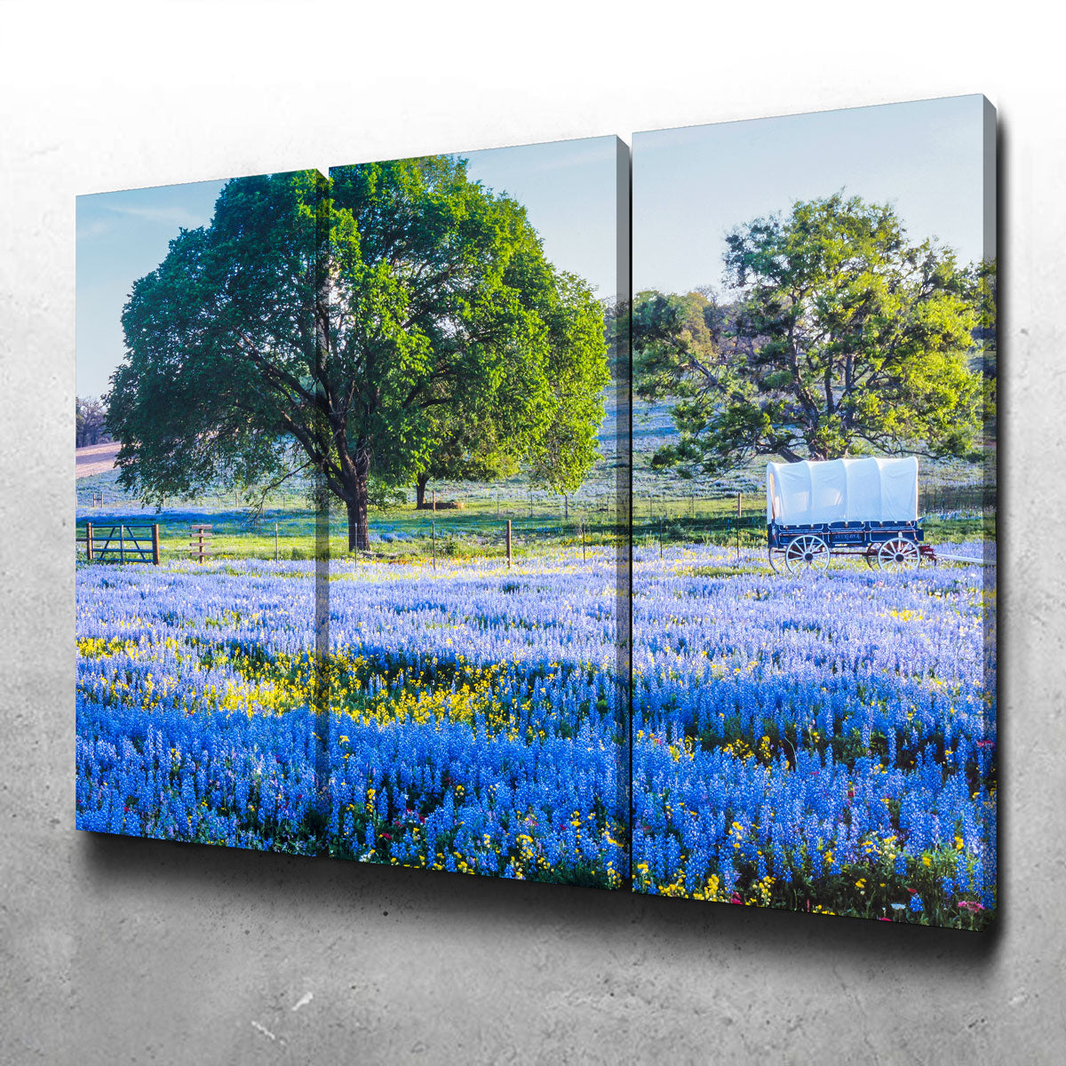 Gorgeous Texas Hill Country in Spring Wall Art for Stunning Home Decor