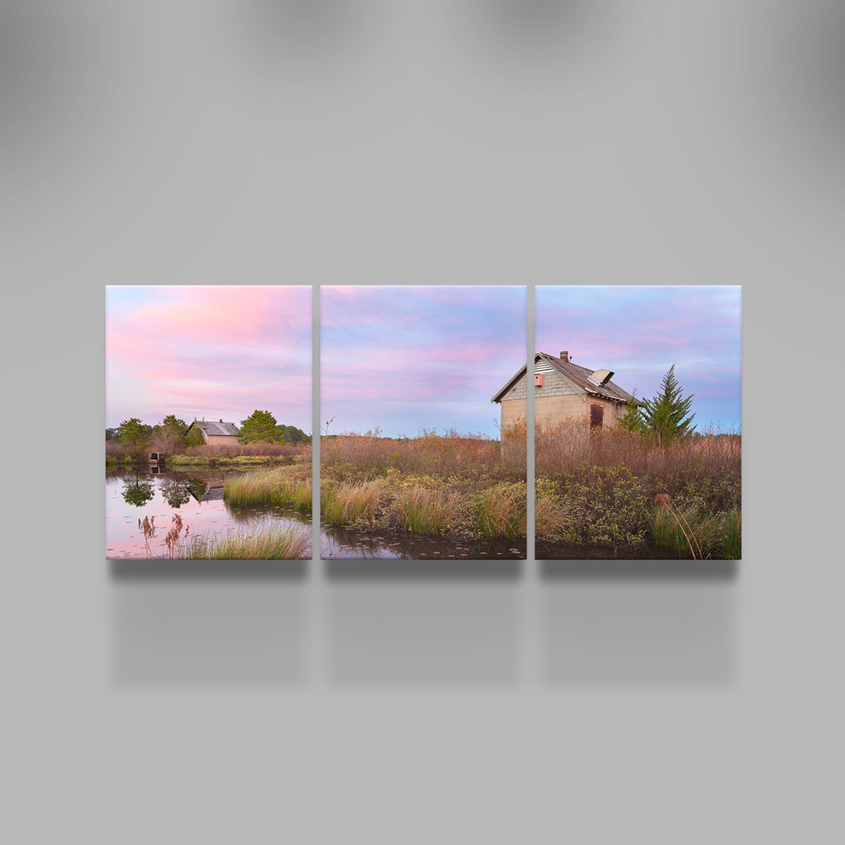 Beautiful Spring in the Bogs Wall Art by Shaun Mayer