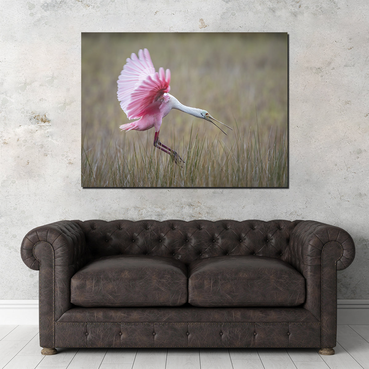 Stunning Roseate Spoonbill Wall Art from Merritt Island Wildlife Refuge