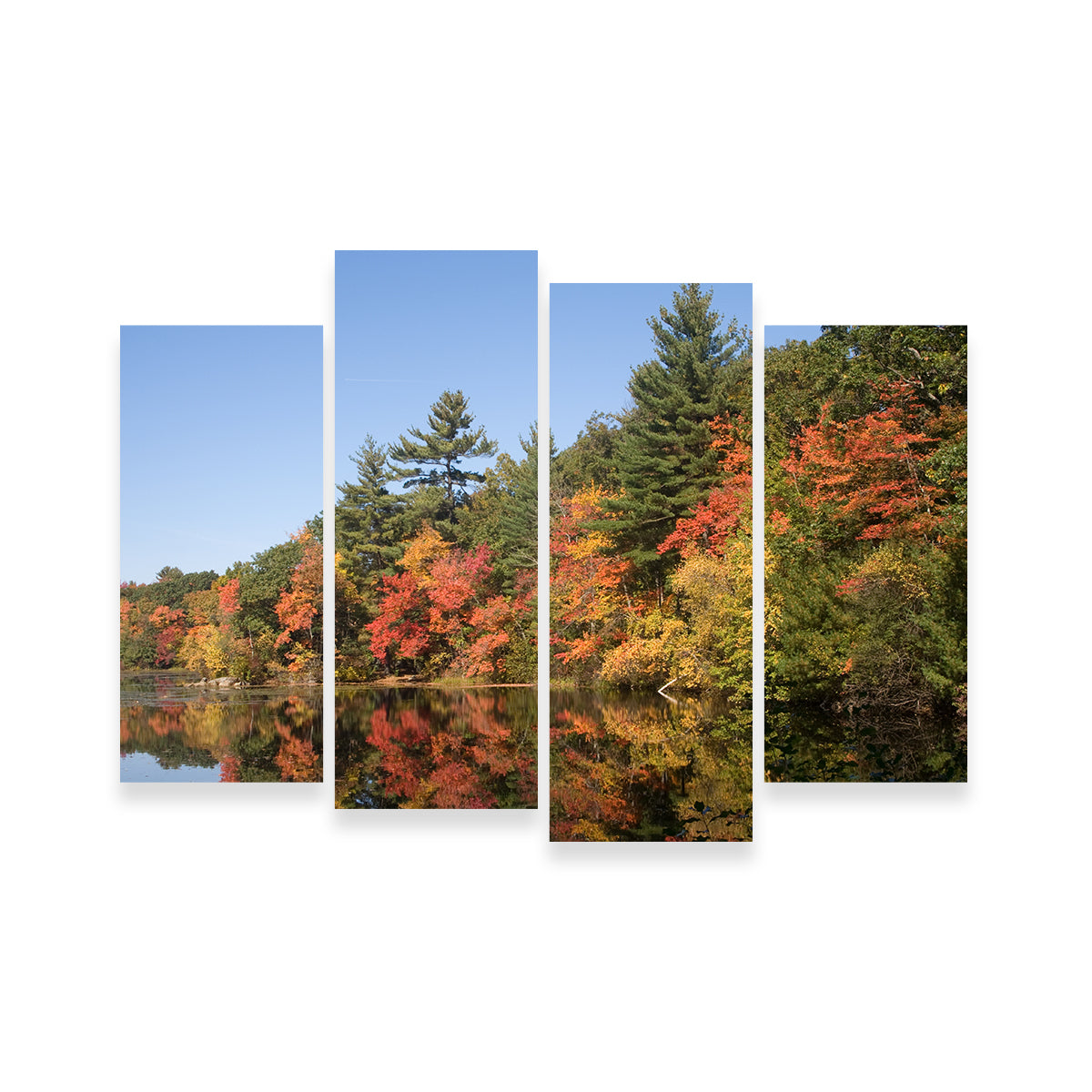 Stunning Harold Parker State Park Wall Art for Home Decor