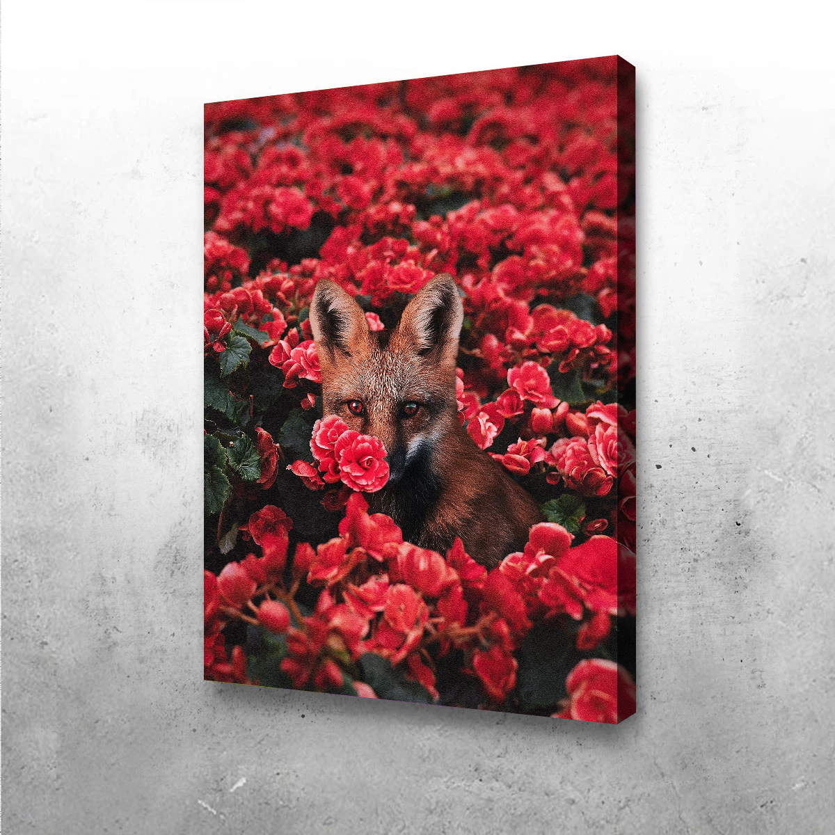 Stunning Fox and Flowers Wall Art by Ibrahim Saifee