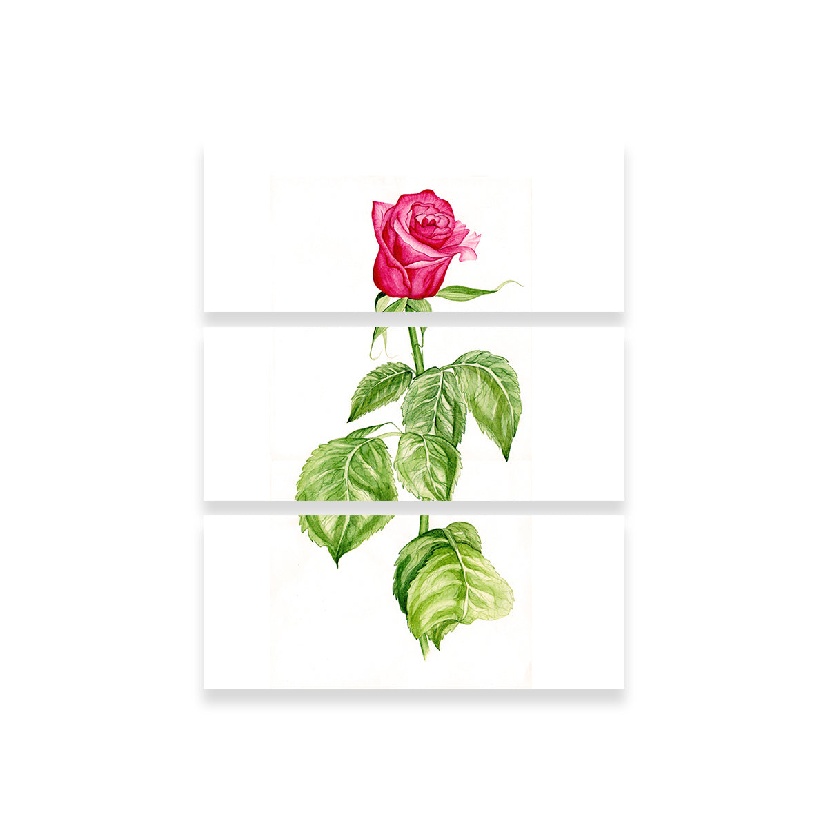 Stunning Red Rose Wall Art for a Captivating Home Decor
