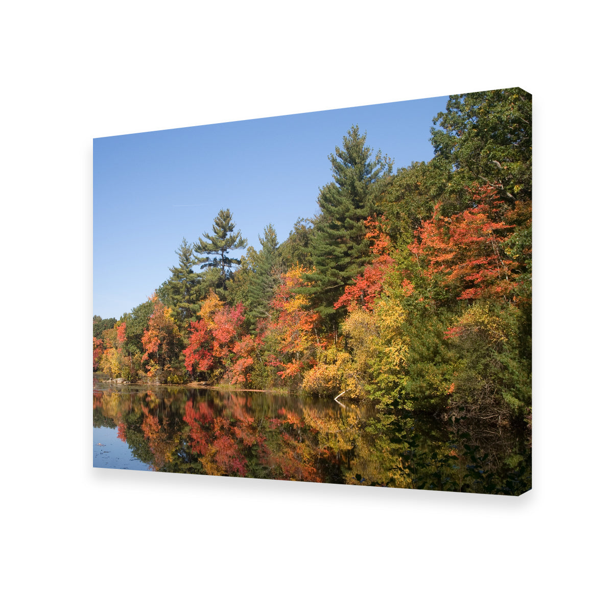 Stunning Harold Parker State Park Wall Art for Home Decor