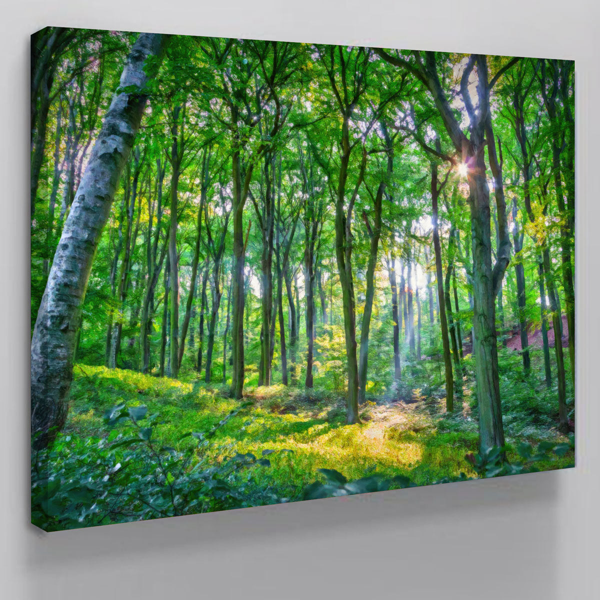 Gorgeous Emerald Forest Wall Art by Denise Dundon